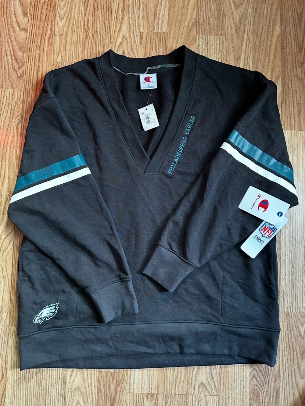 Champion Black V-Neck Sweater with Teal and White Sleeve Stripes